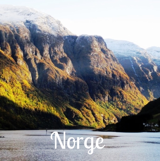 Naeröyfjord (LJ).jpg