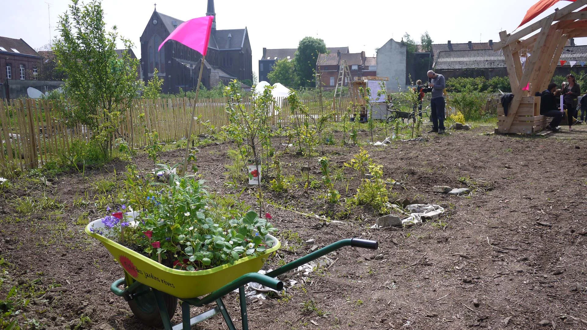garden 3.jpg