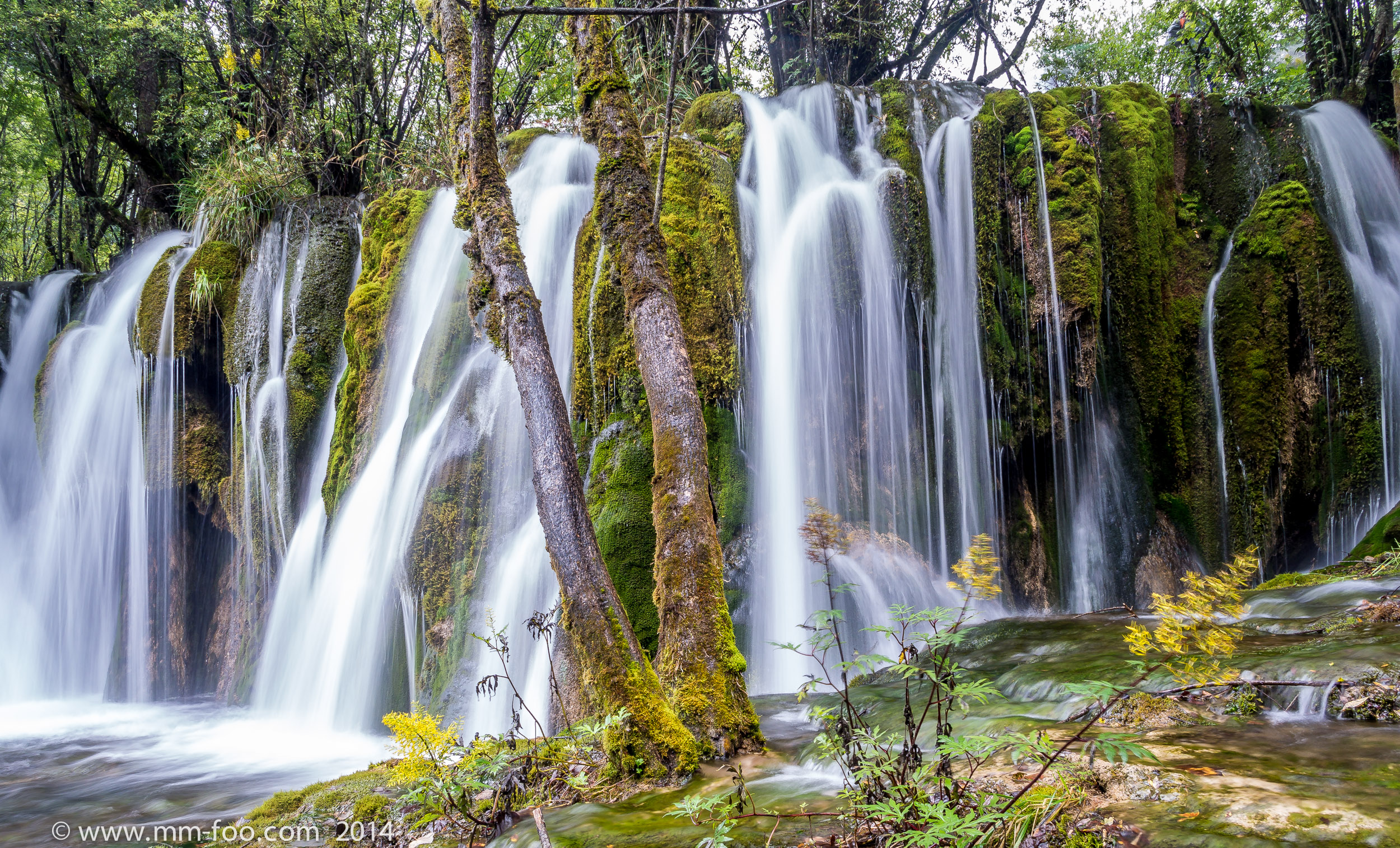 Falling Water