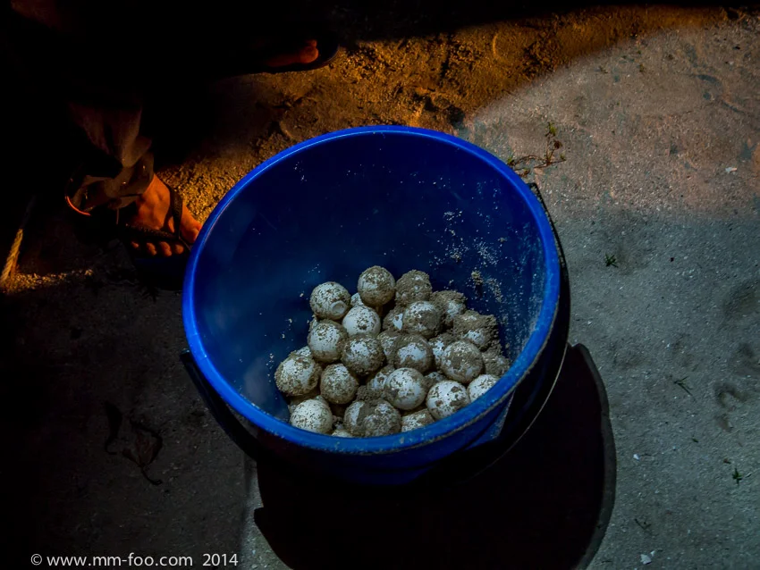 1/15 sec, 14mm, f/3.5, ISO1600 (M.Zuiko 14-42mm f/3.5-5.6 II R). 