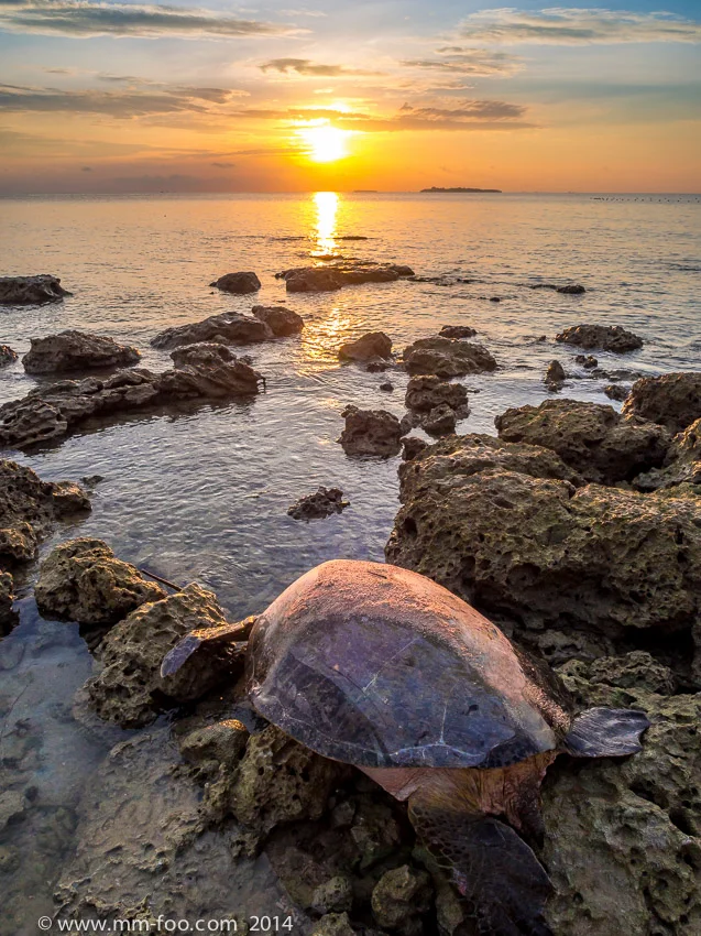 1/640 sec, 12mm, f/5.6, ISO200 (M.Zuiko 12mm). Ocean-bound.