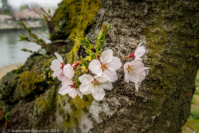 Pretty!!