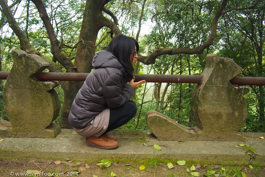 Found this little clearing/space near the top and they had squirrels holding the barrier! So cute! FYI, I'm imitating them.