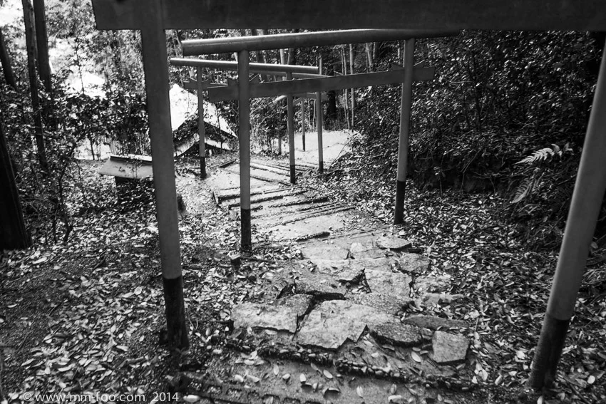 Stone steps on our way down