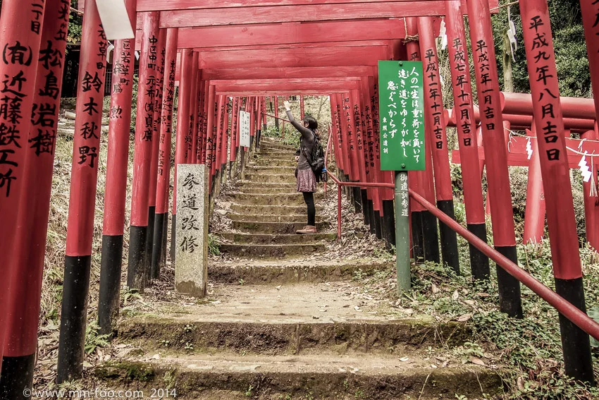 Mini torii gates