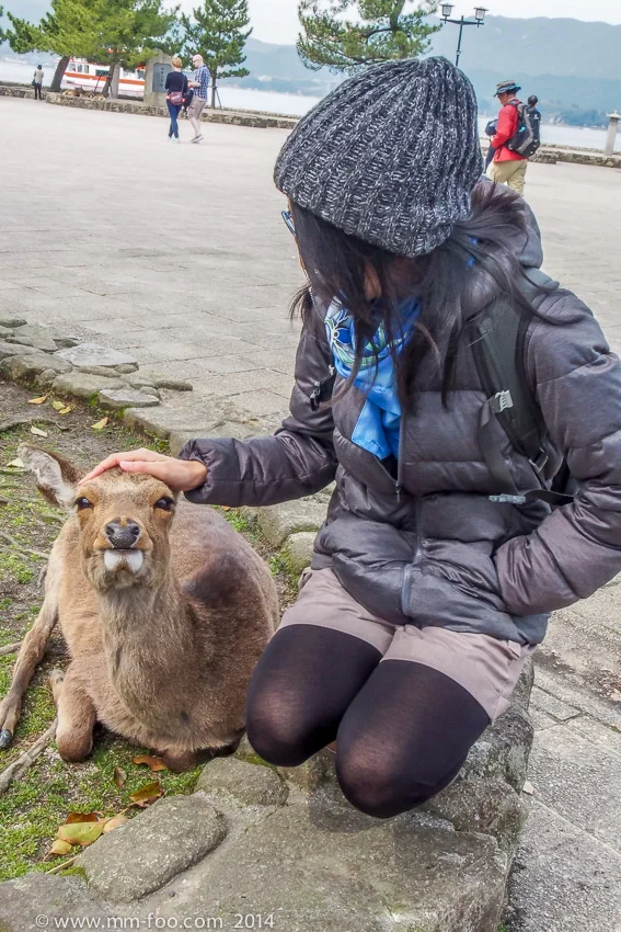 I'm enjoying my head pat tyvm.