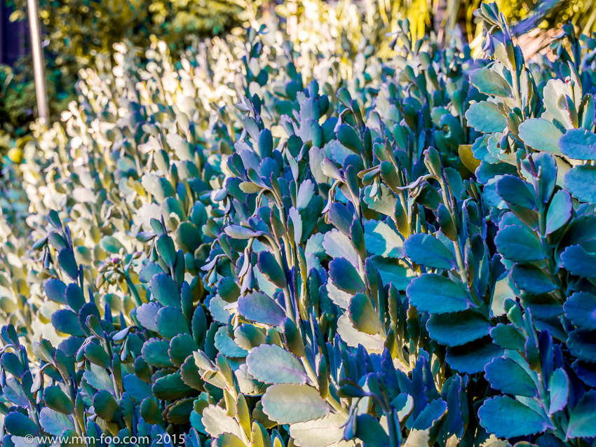 40mm, f/5.6, ISO100, HDR.