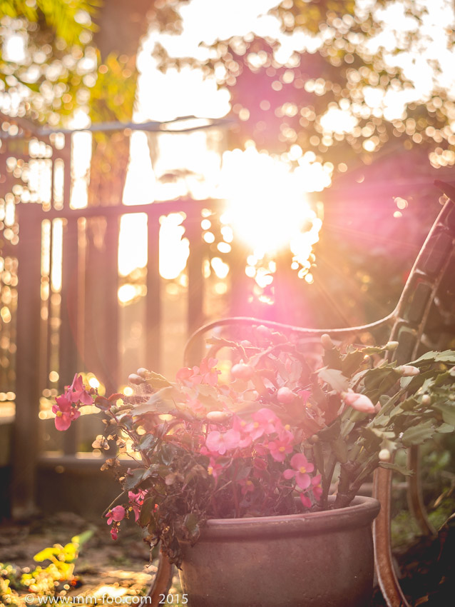 1/200 sec, 40mm, f/2.8, ISO100. Lens Flare