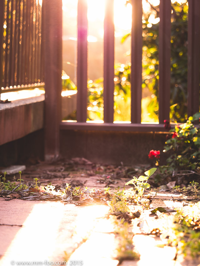 1/60 sec, 60mm, f/2.8, ISO100.