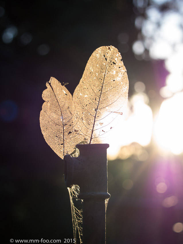 1/400 sec, 40mm, f/2.8, ISO100.