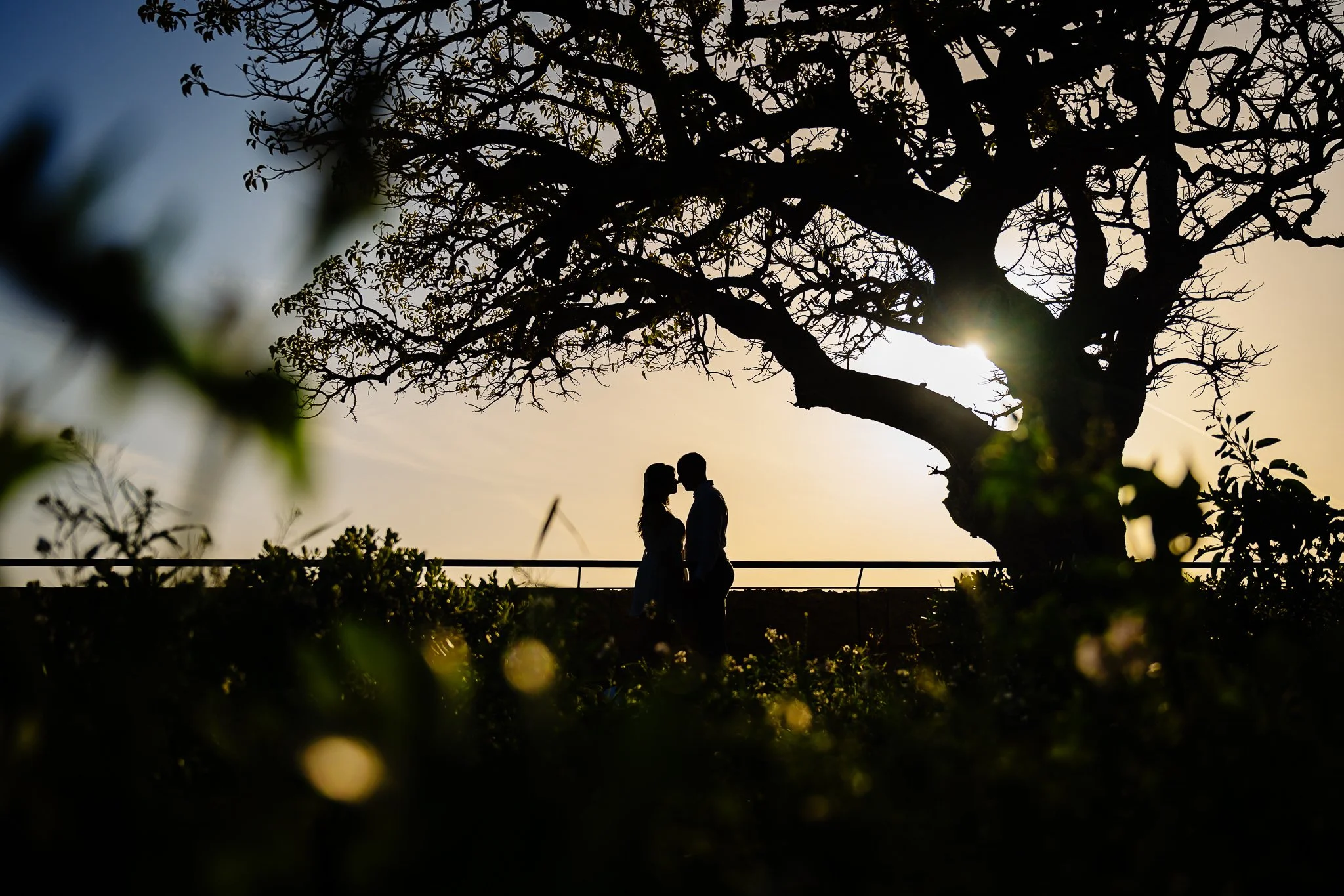 2025 Pre Wedding Collection 23.jpg