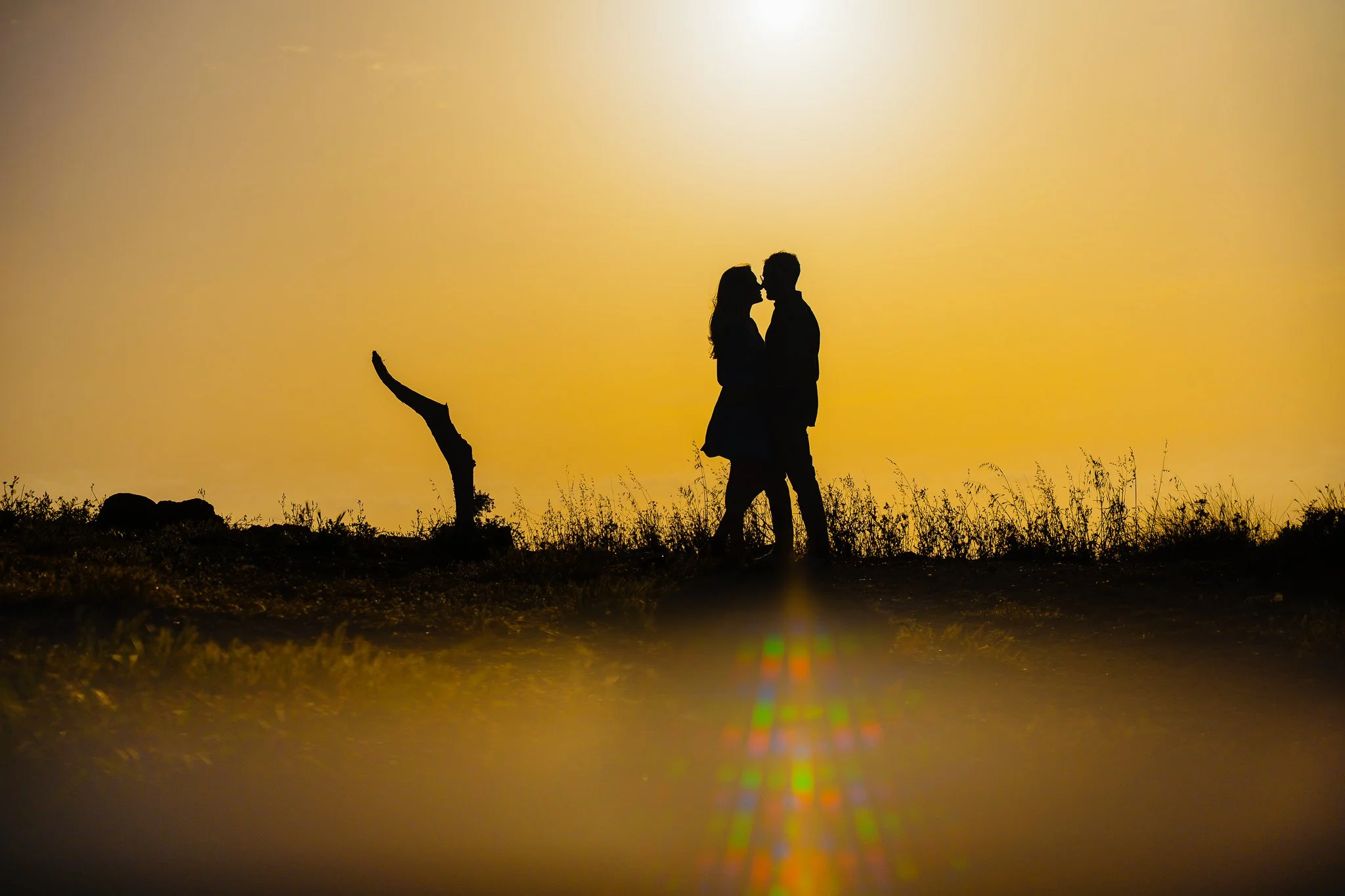 2025 Pre Wedding Collection 63.jpg