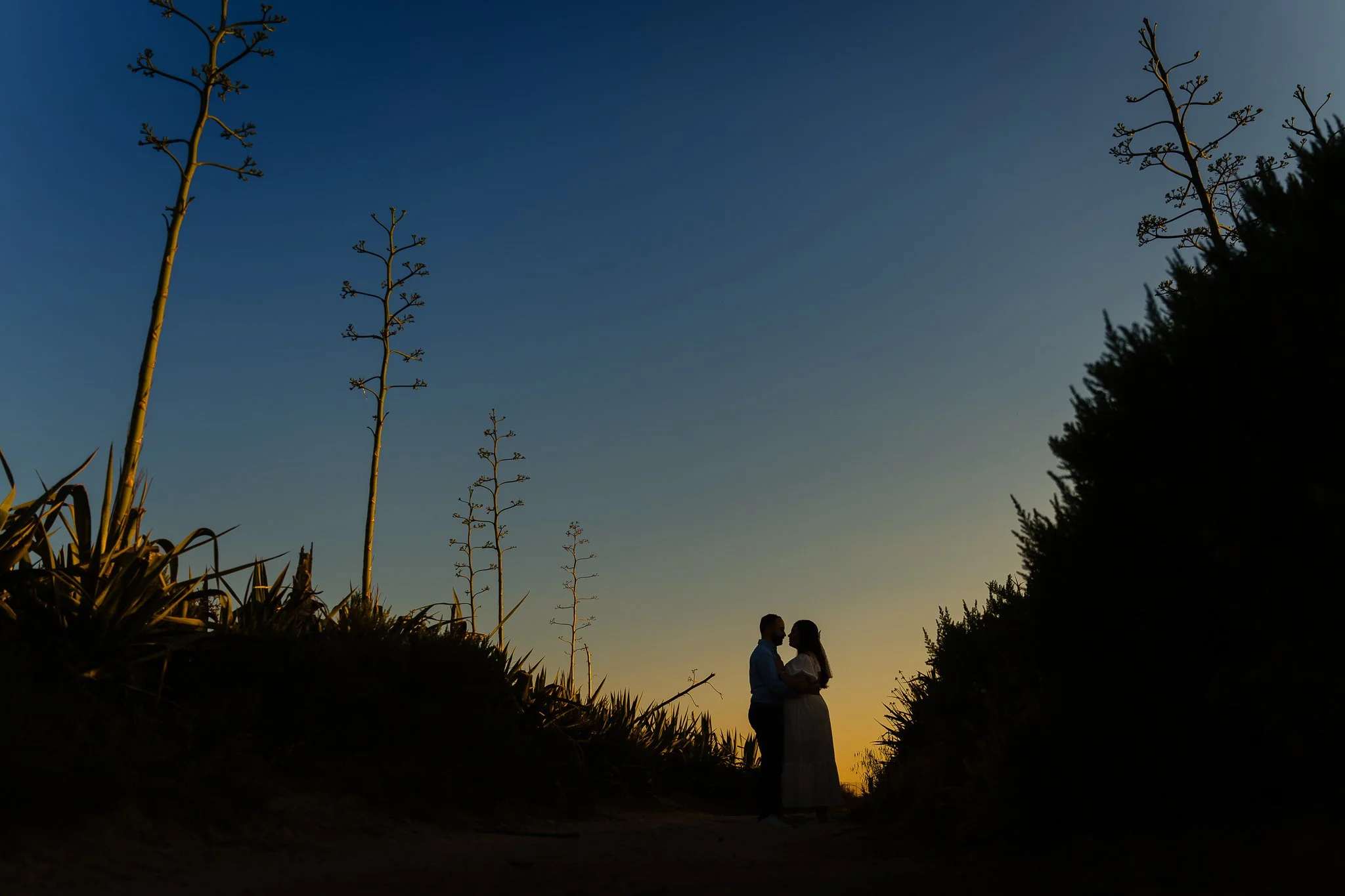 2025 Pre Wedding Collection 135.jpg