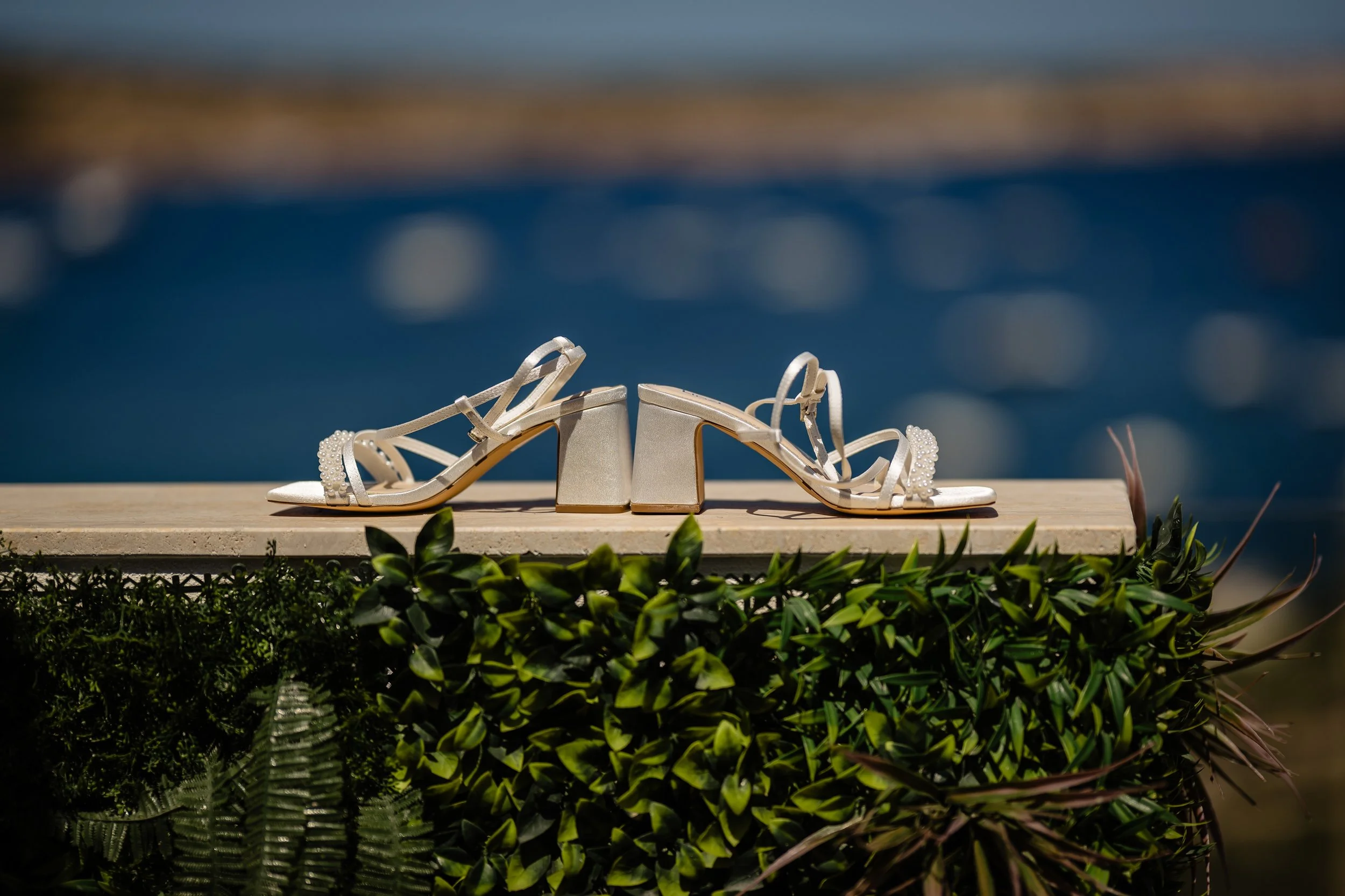 Lenny & Brogan's wedding at Villa Bologna_0006.jpg