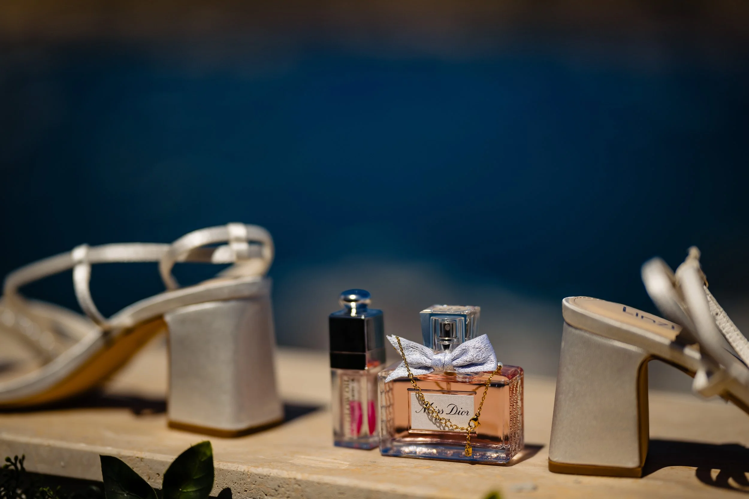 Lenny & Brogan's wedding at Villa Bologna_0007.jpg