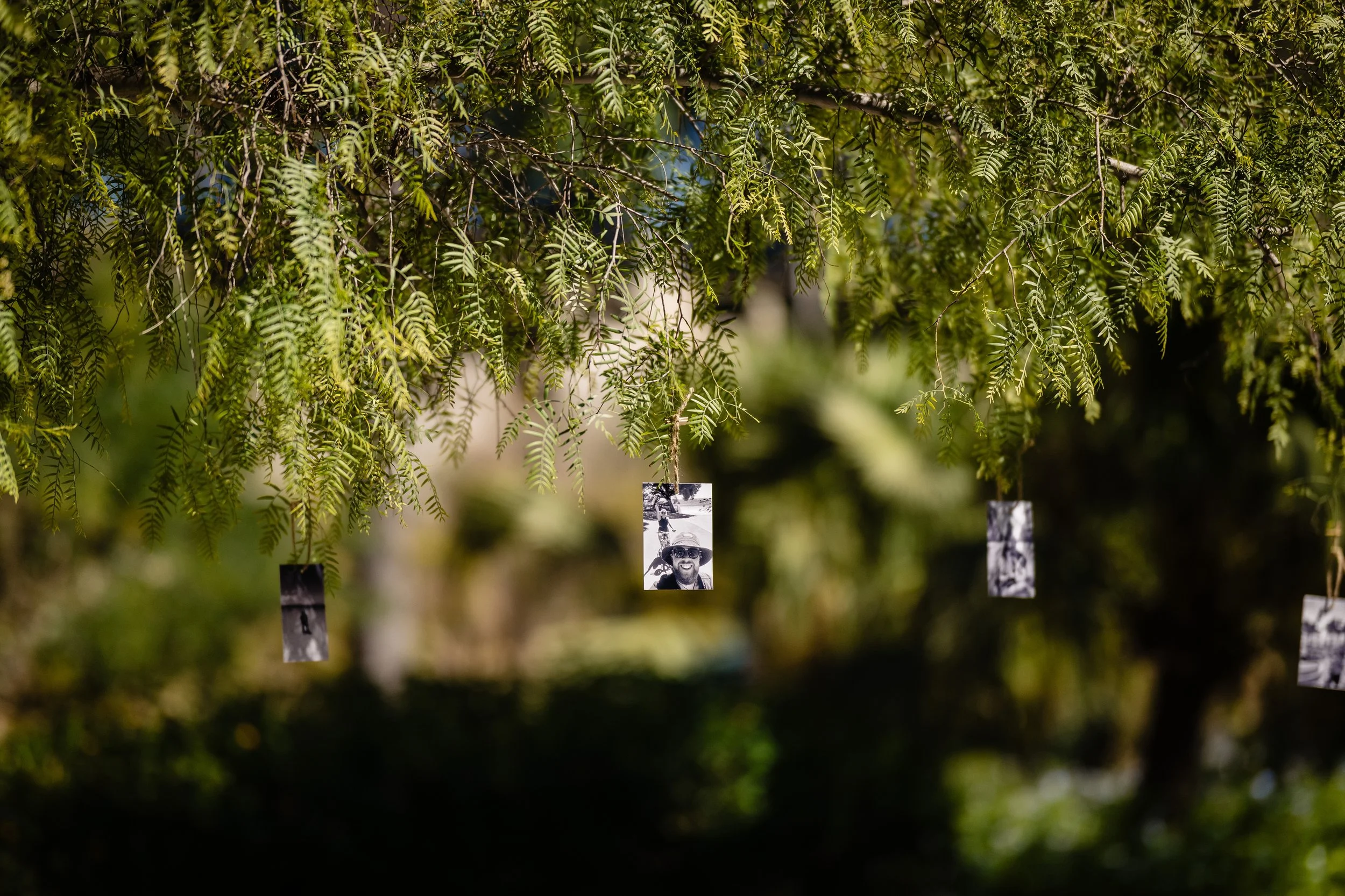 Lenny & Brogan's wedding at Villa Bologna_0021.jpg