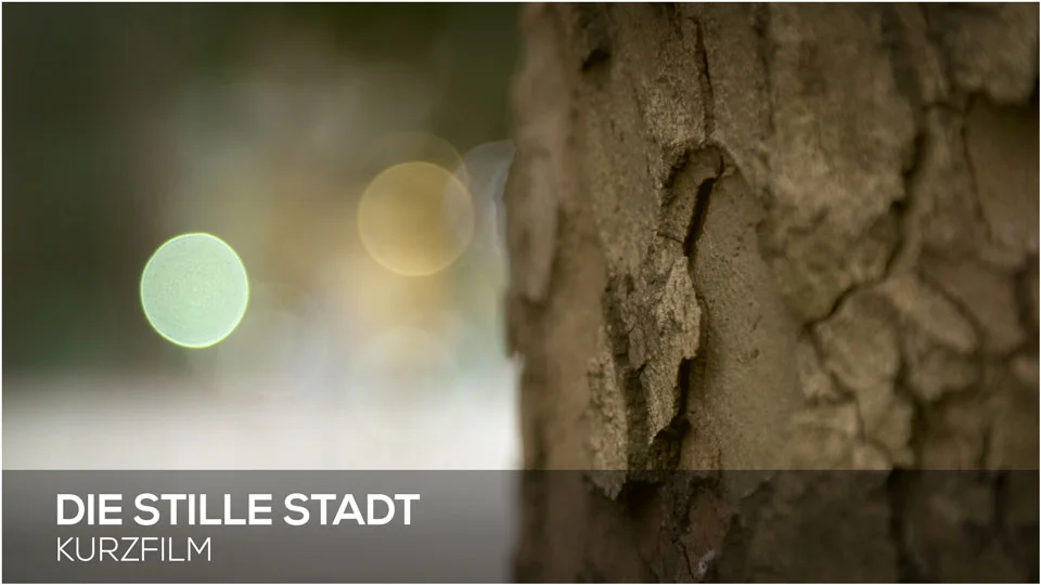STILLE_STADT_THUMBNAIL_GRID.jpg
