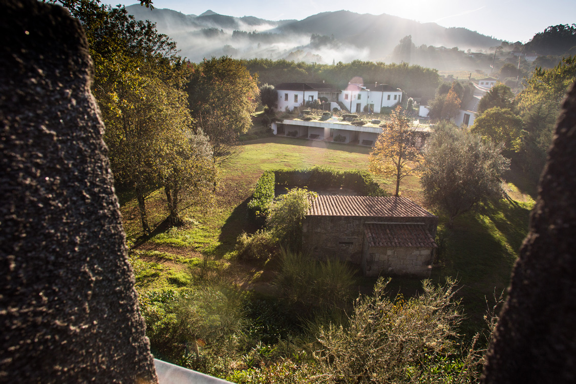 View of house and apartments from Tower rooftop.jpg