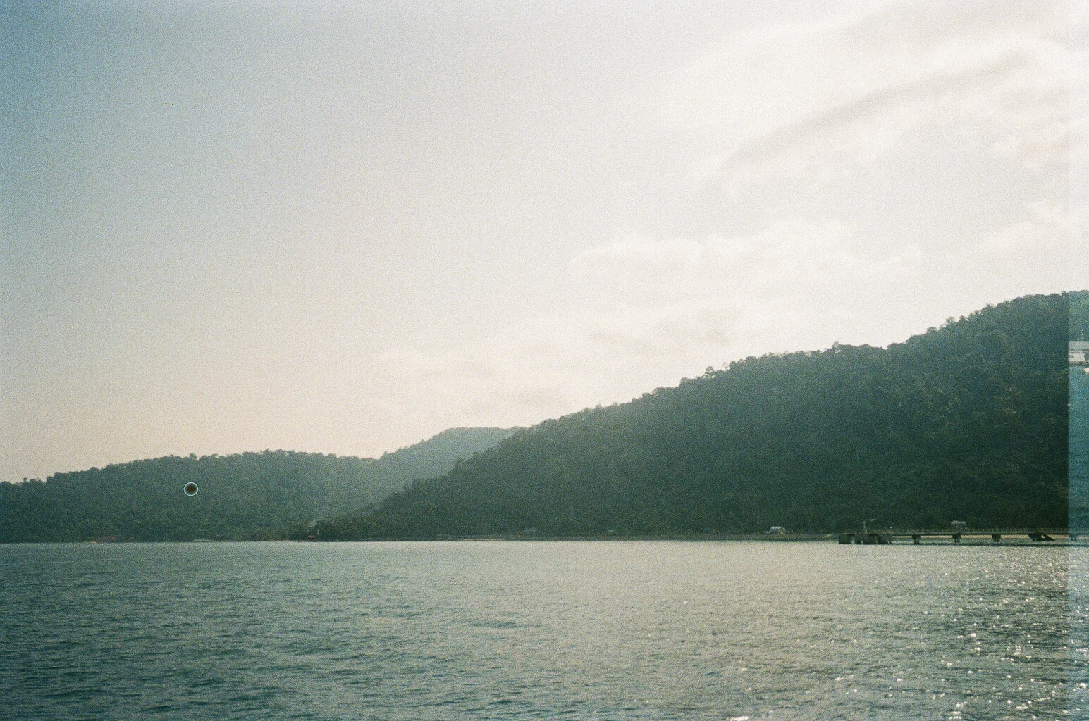 000962490017.jpg