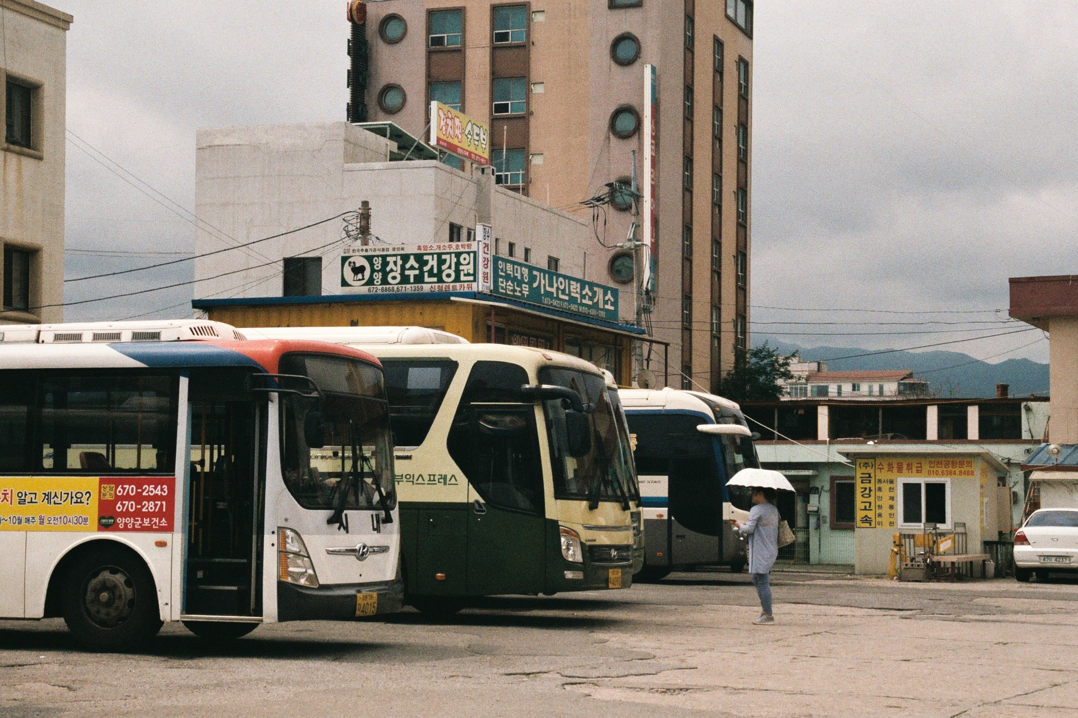 000016-2.jpg
