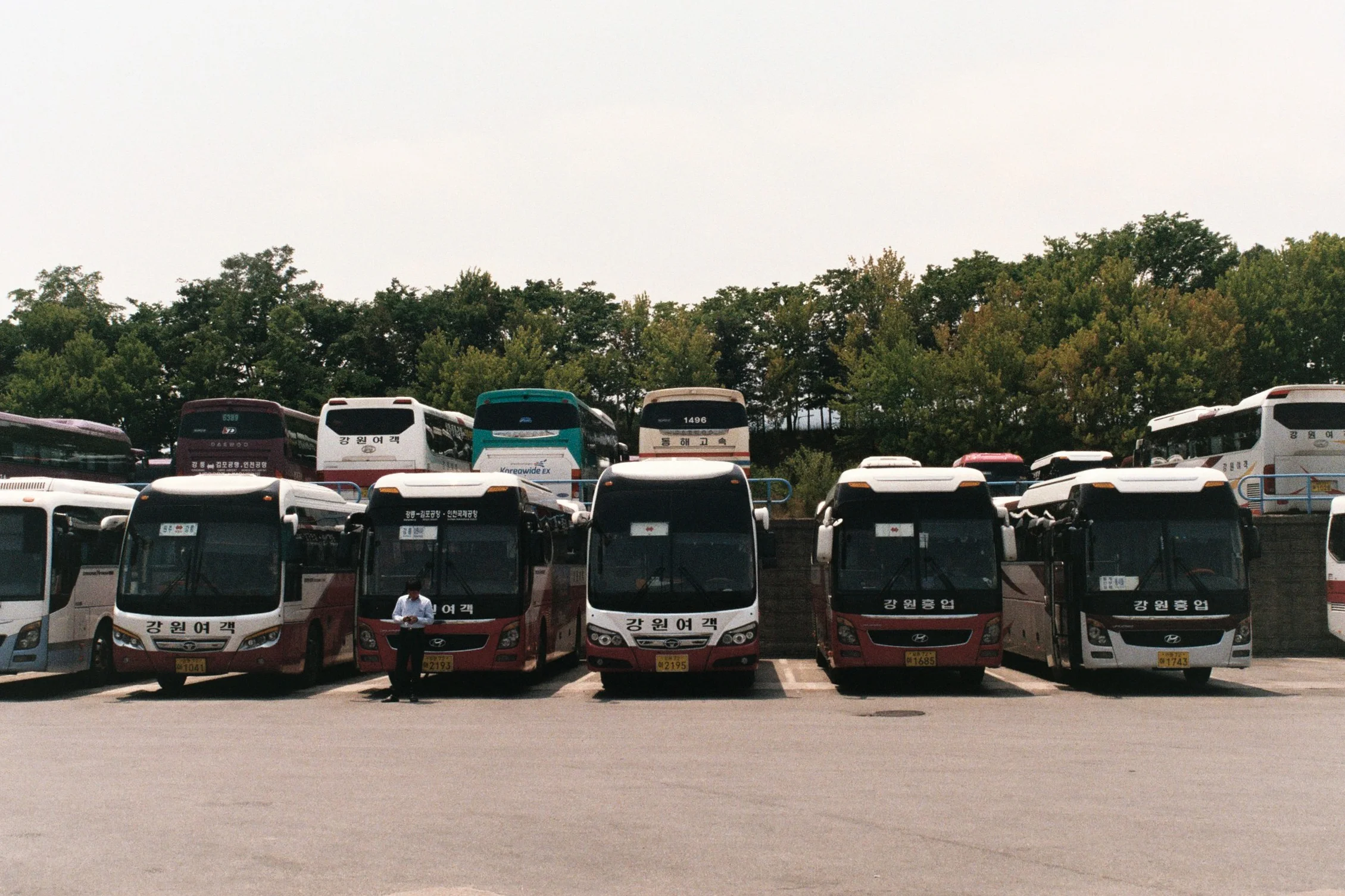 000018-2.jpg