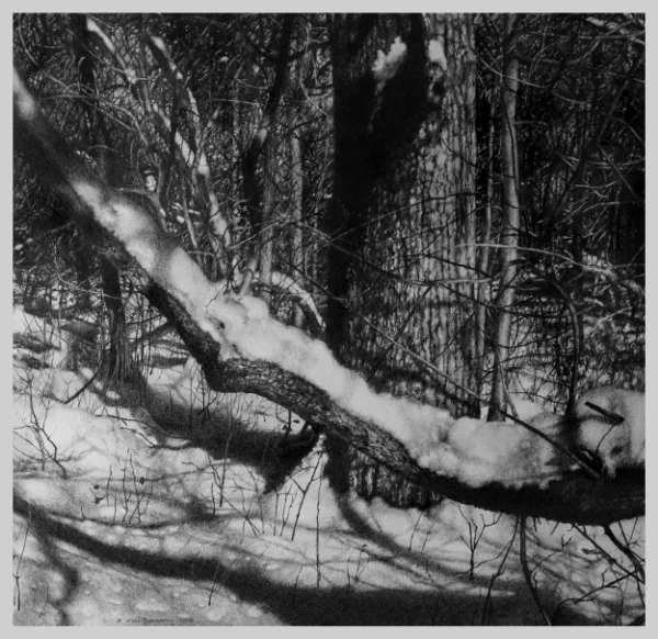 Winter Skin II    SOLD