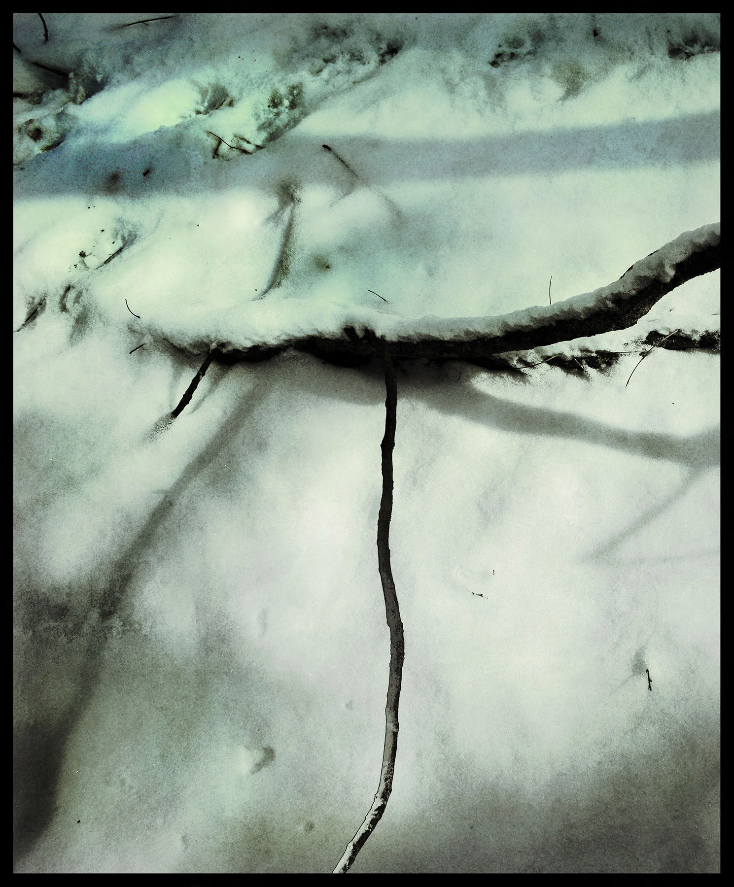 Down on White