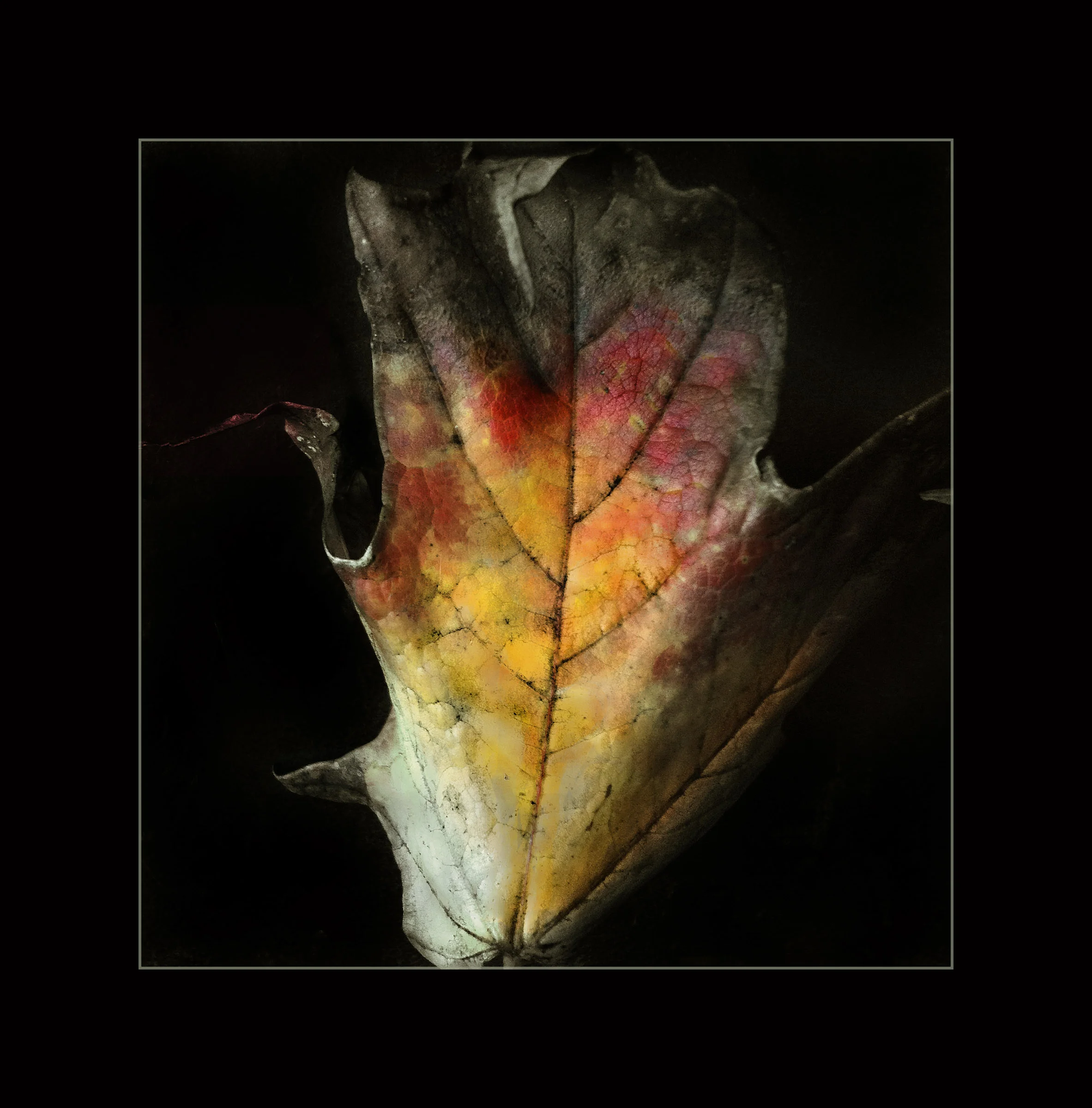 Fleeting as Skin