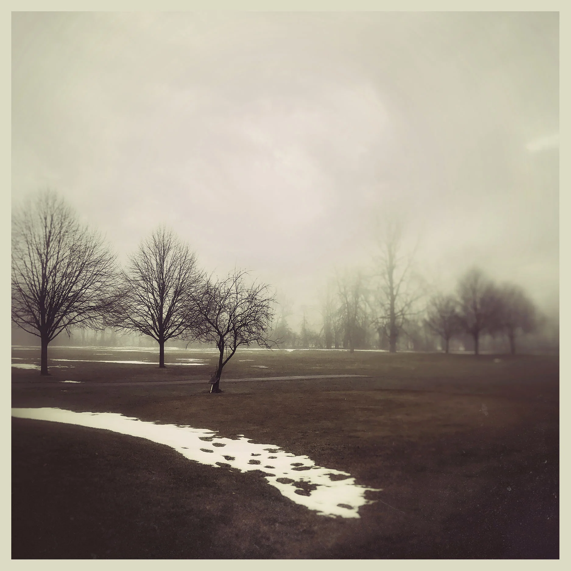 Snow Fog.jpg