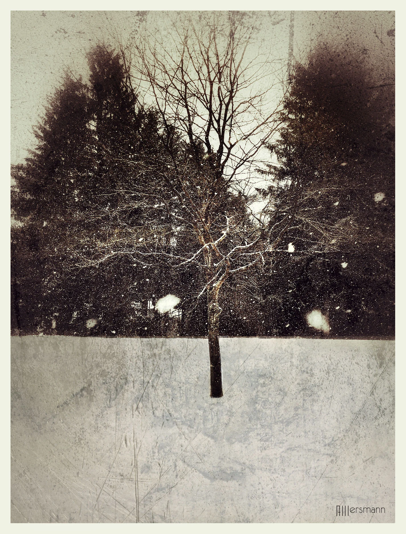Squall III