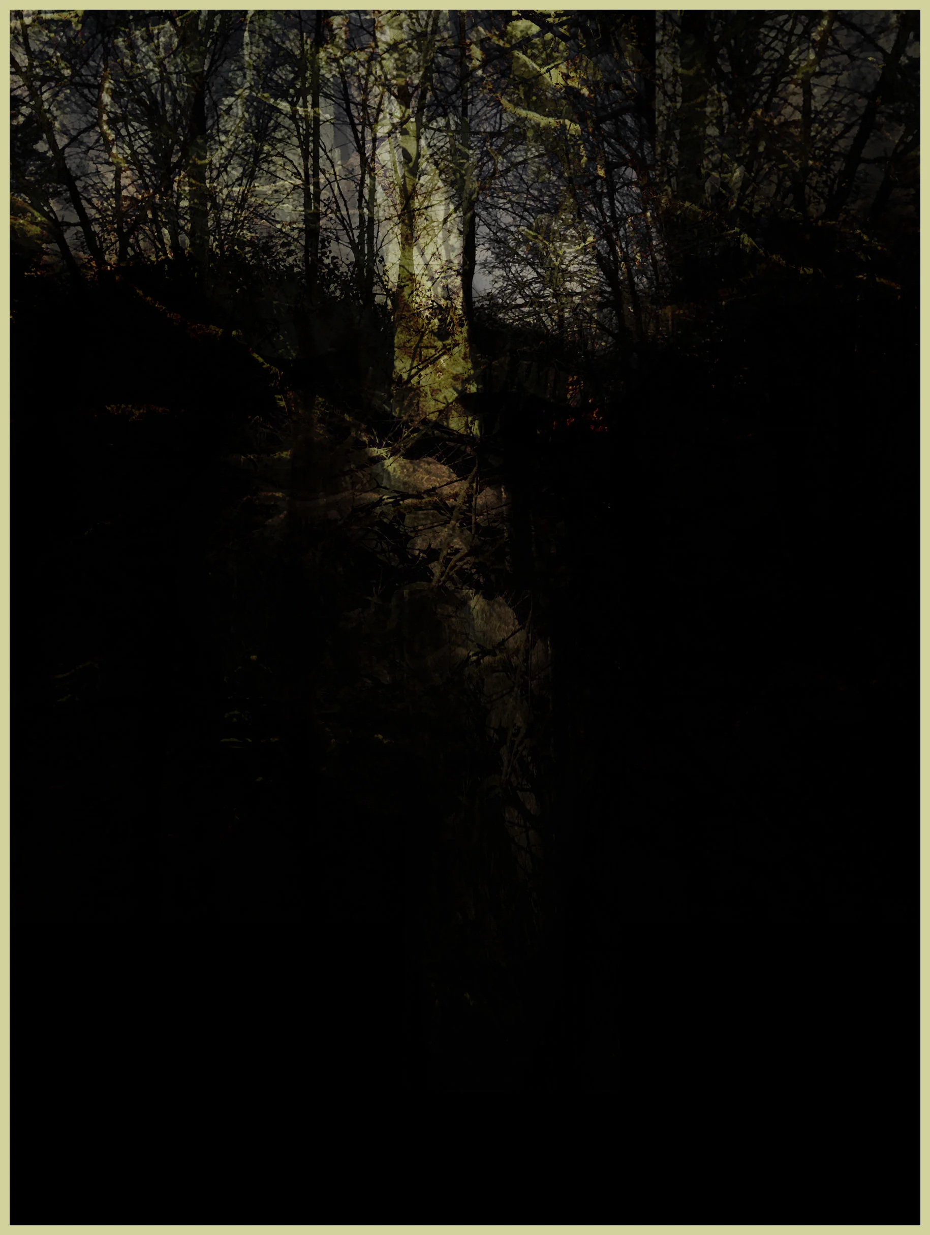 Out of the Woods