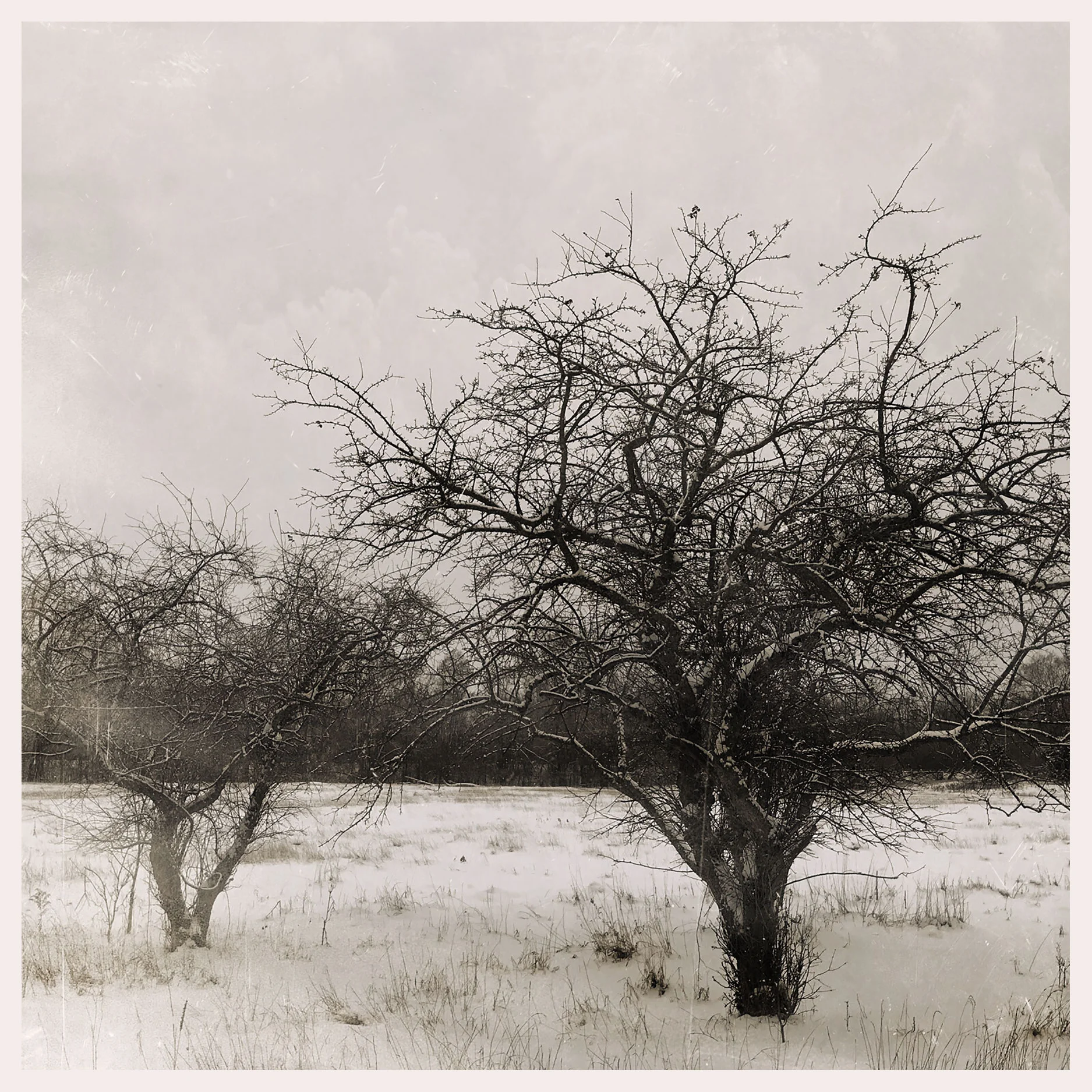 Snow Catchers