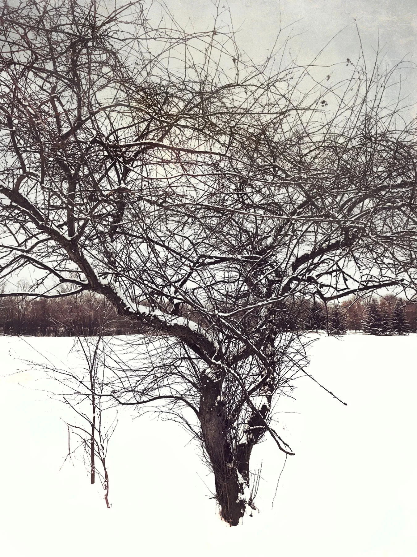 Cold Patterns