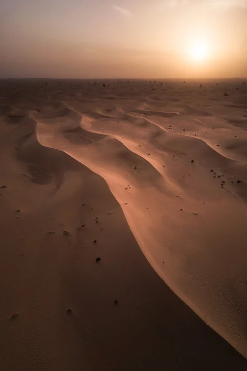 Sandwaves_FINAL.jpg