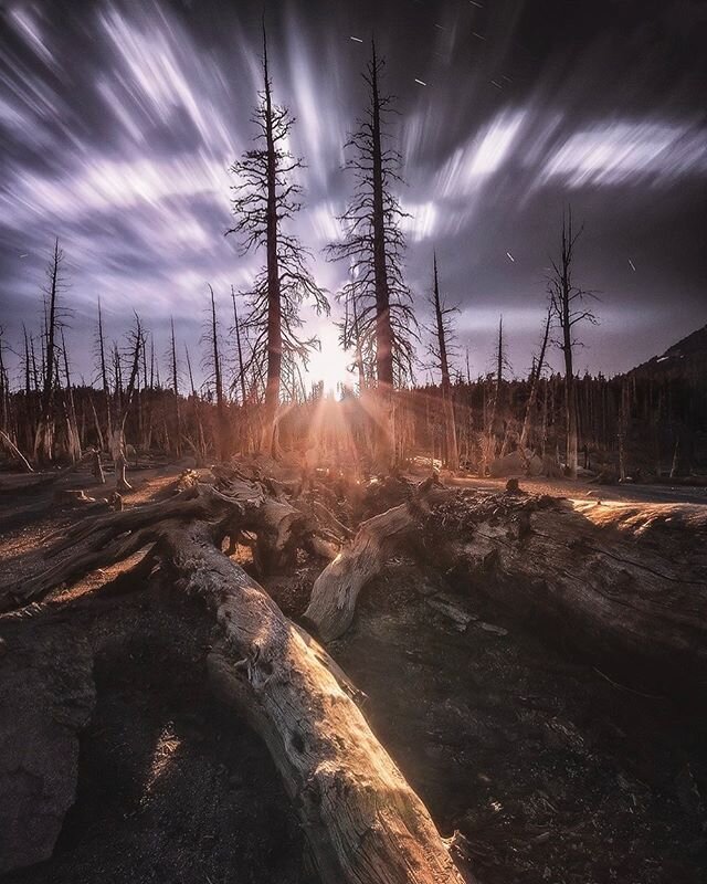 Seems like I entered a burnt down forest in Mammoth Lake back in those days. It felt surreal like a beautiful nightmare. Would love to visit this place again when it&rsquo;s blooming! 😍
.
To learn how I edit my images, visit the link in my bio @babe