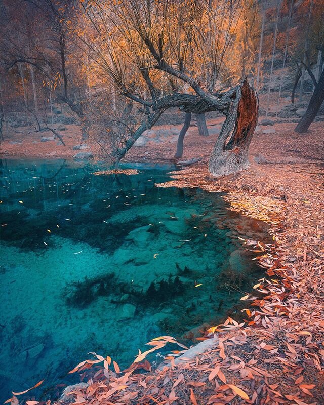 AUTUMN CRYSTAL. Visiting this small magical pond in Skardu was mesmerizing! The water was pure and so clear. The autumn leaves surrounding it just made it even more beautiful. 😍
.
To learn how I edit, visit my video tutorials linked in my bio @baber