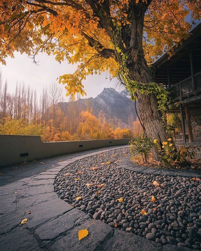 SHIGAR FORT 
One of the most gorgeous places I ever had the chance to visit during my trip to Skardu in Pakistan last year. 
The autumn colors really appeared late in this area during the month of November. Once we return back to the new normal, this