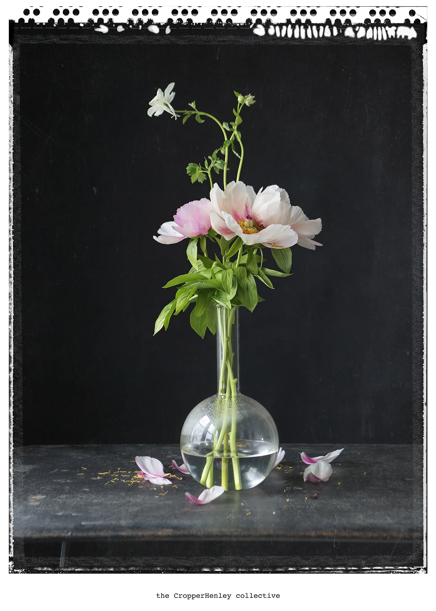 vase 4, 50x70 cm for price email malin@cropper.se