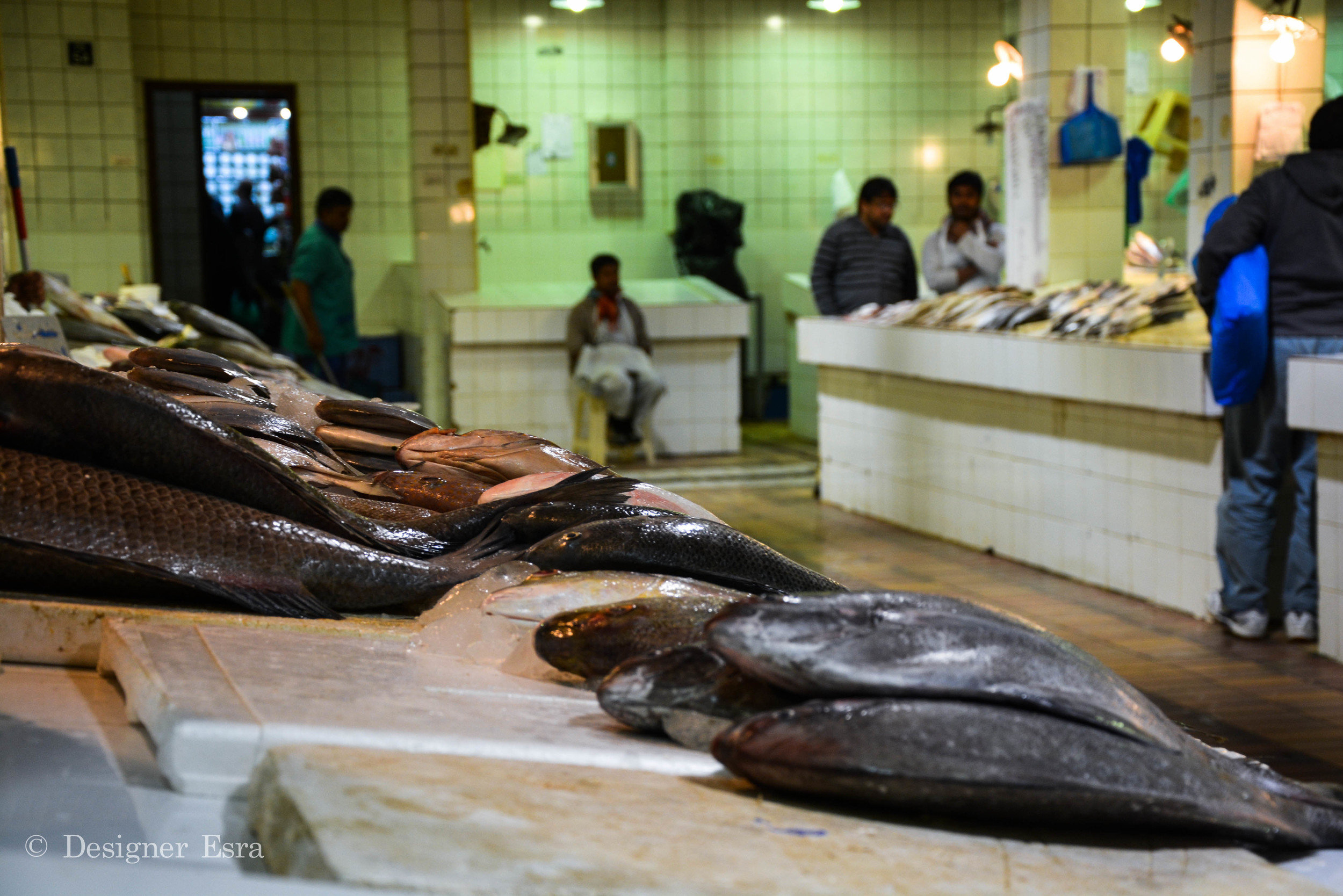 Fish Market in Kuwait