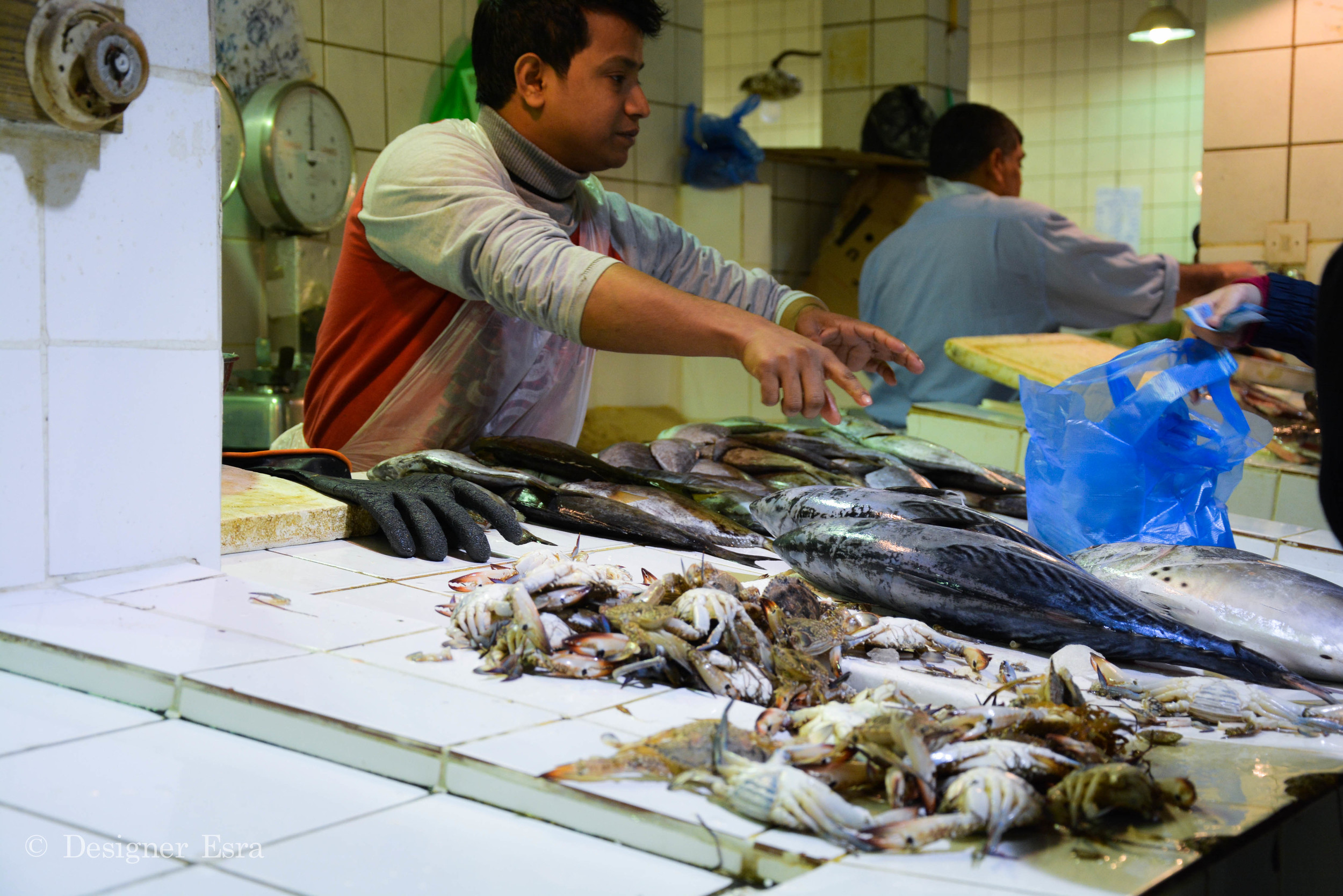 Fish Market in Kuwait 