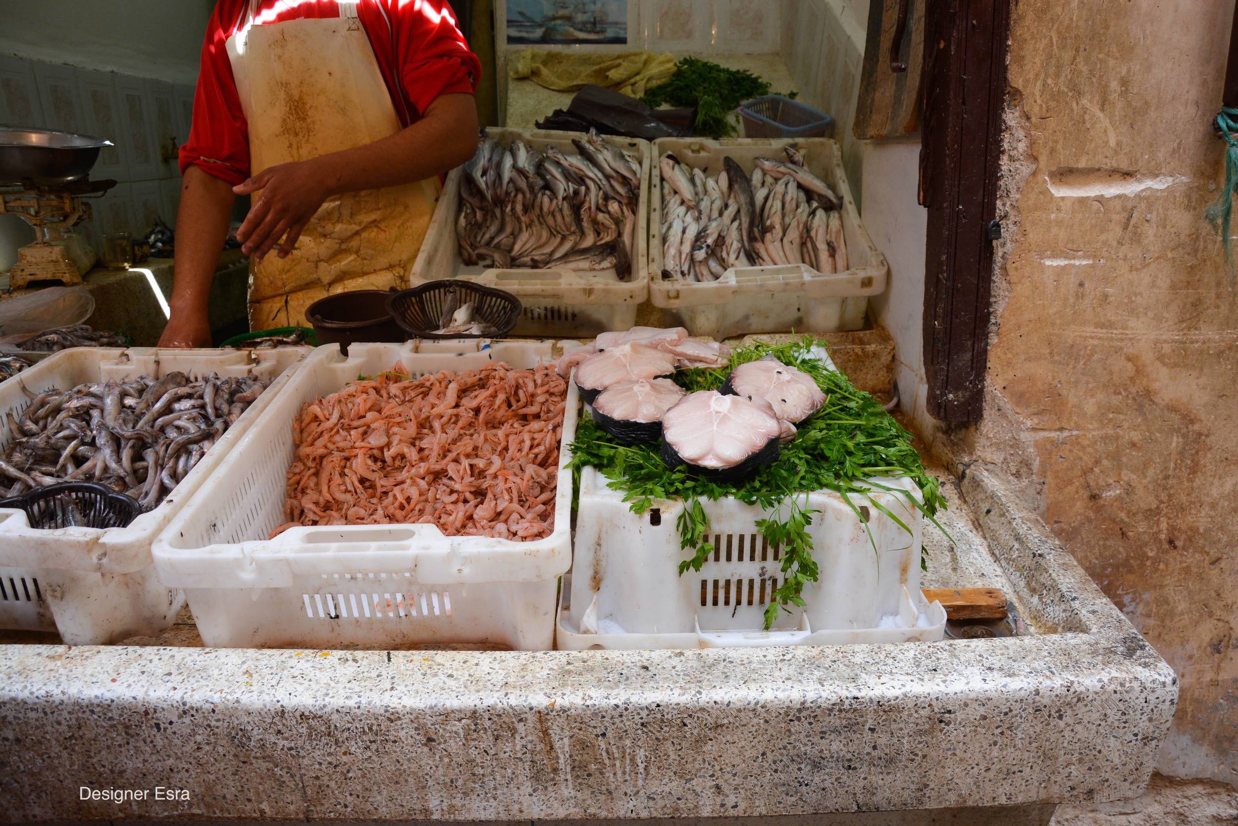 Shopping for Groceries in Fes