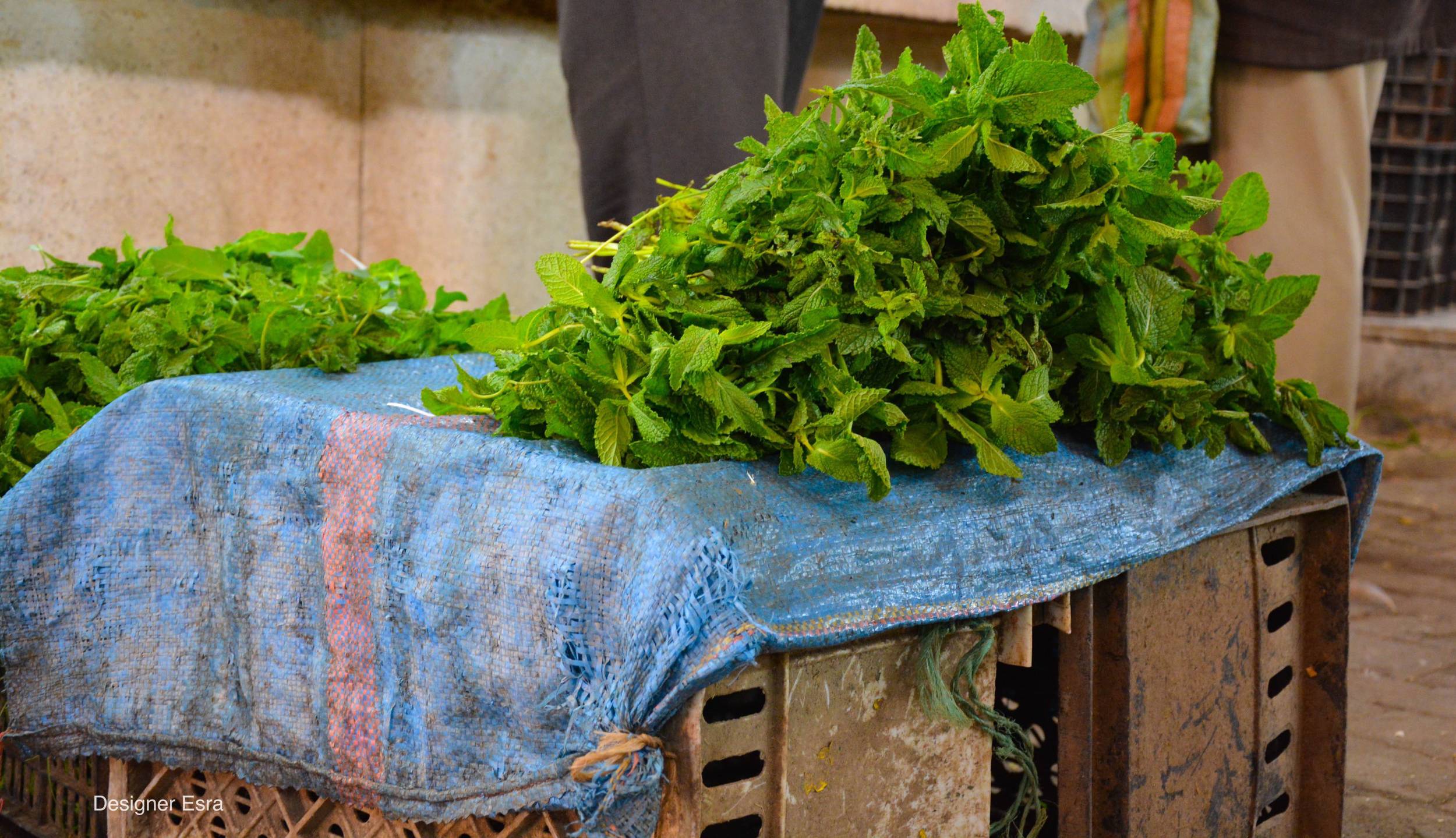 Shopping for Groceries in Fes