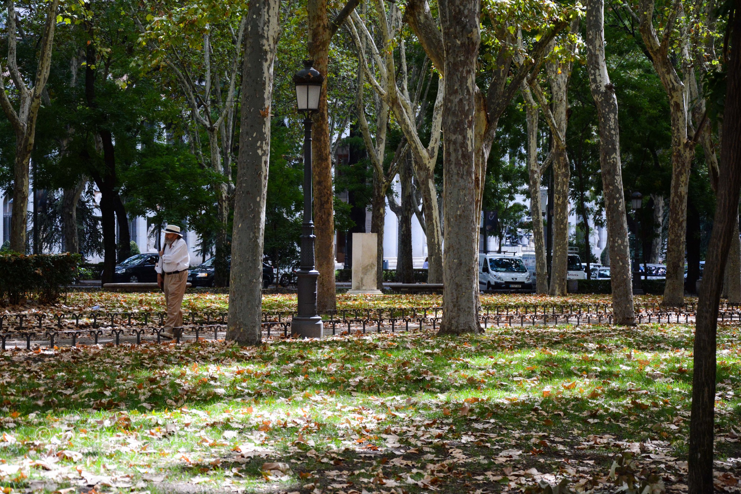 Paseo Del Prado