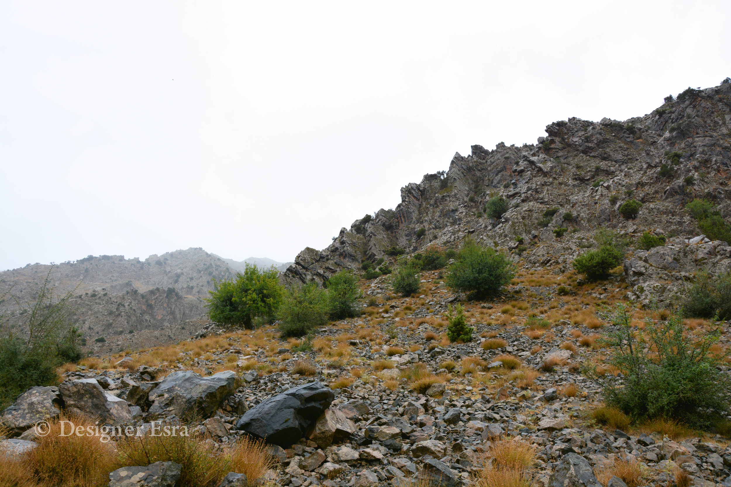 Beautiful Moroccan Nature