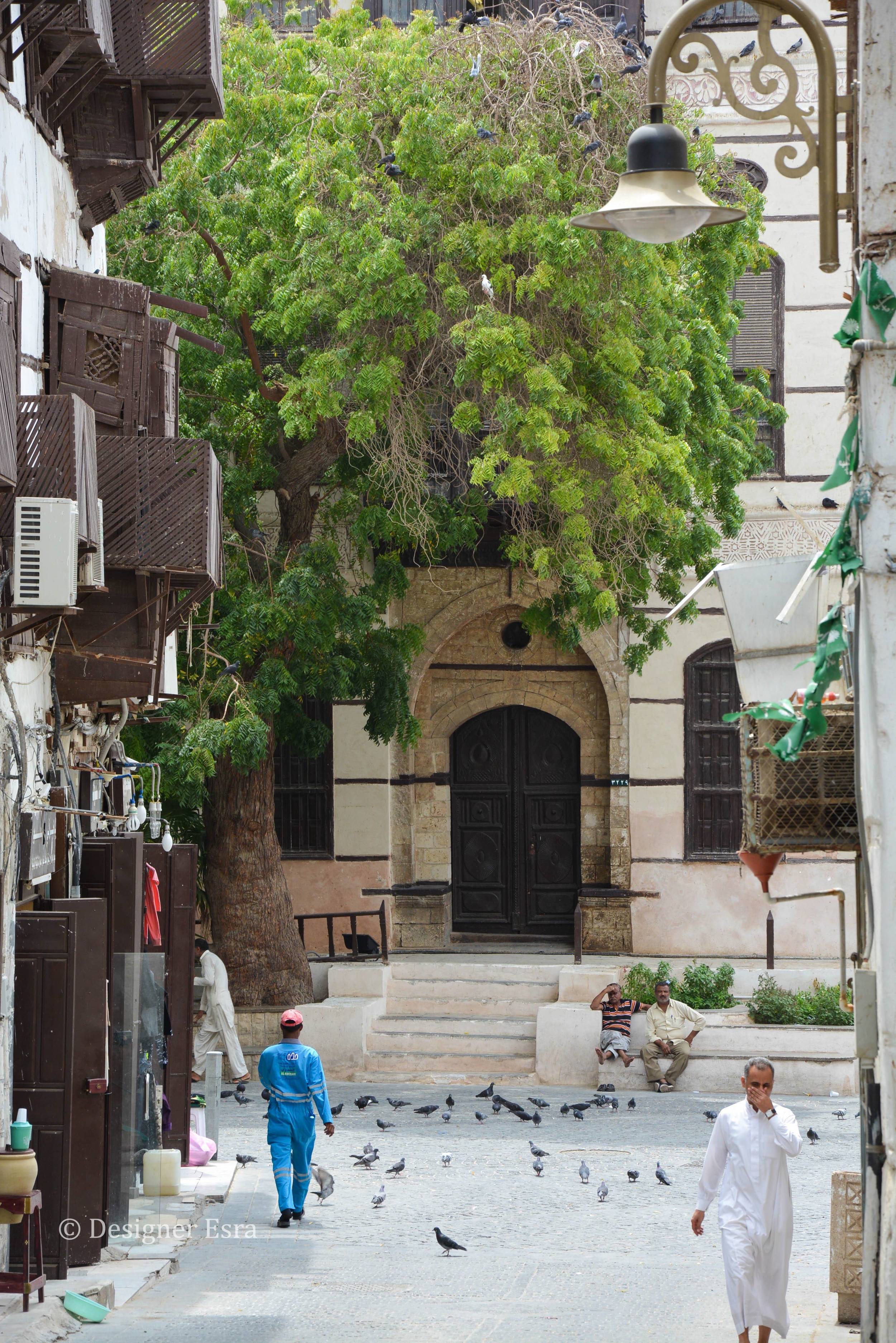 Birds and Architecture in Jeddah, Saudi