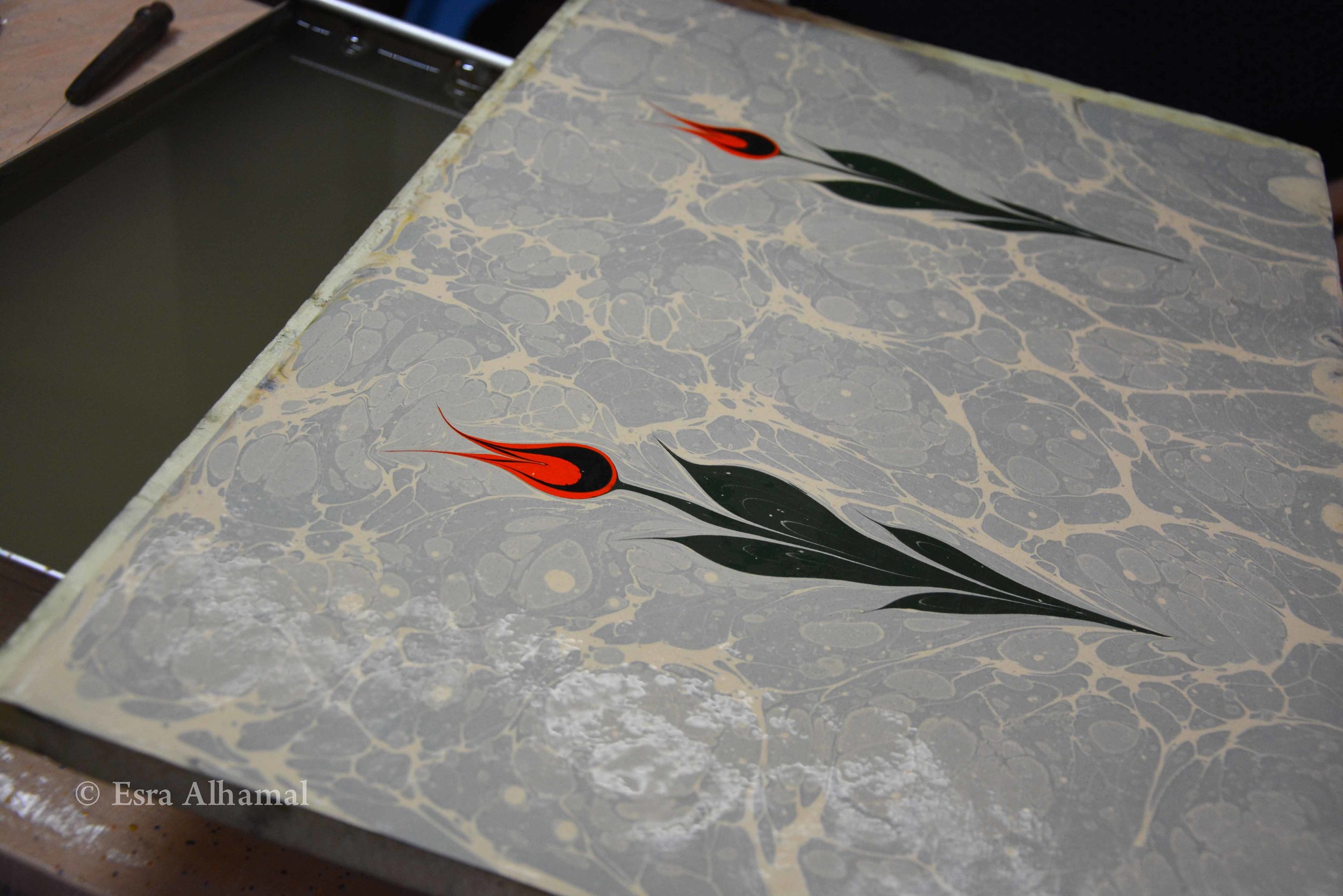 Turkish Tulip in Ebru