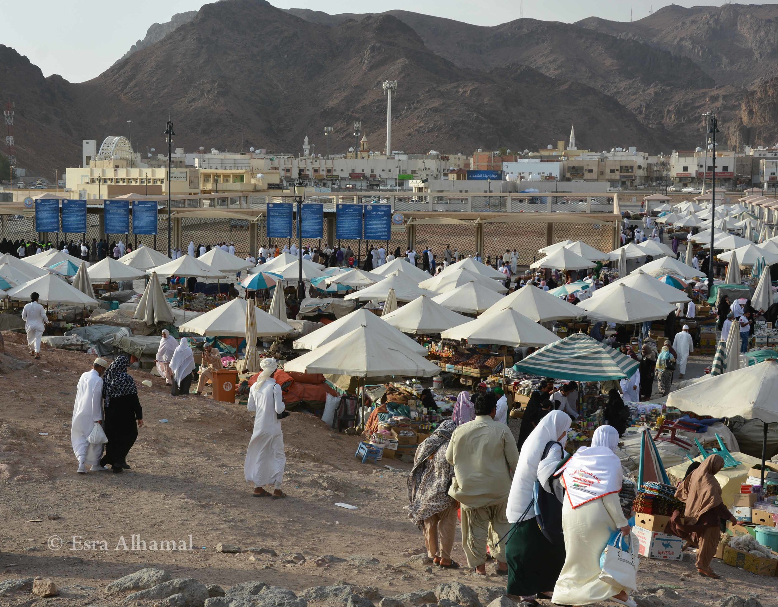 Market Shopping in Medina