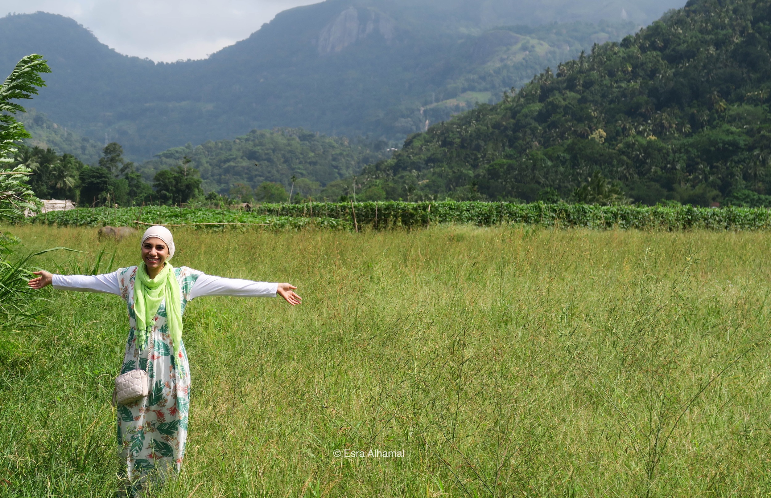 Solo Female trip to Sri Lanka 