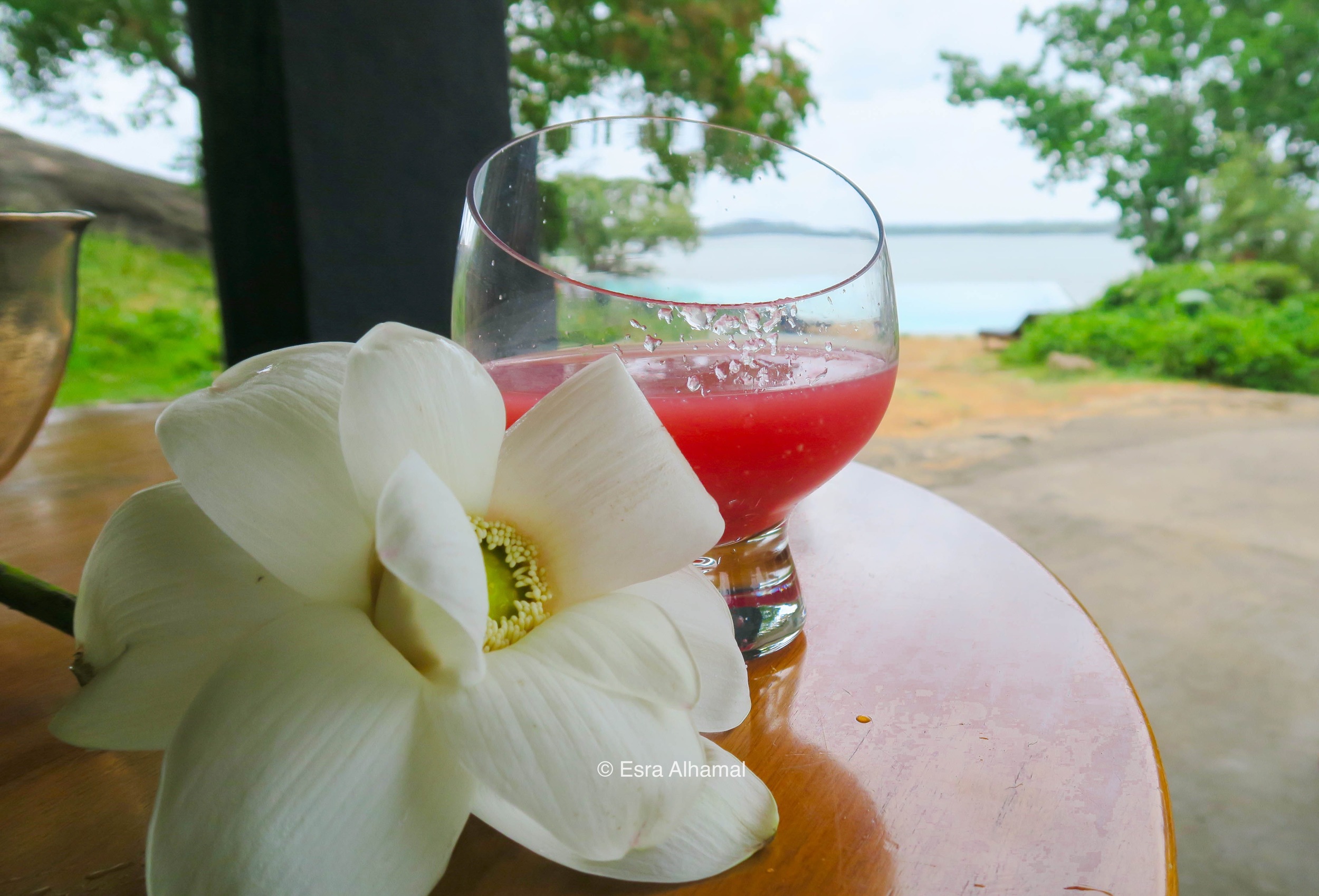 Welcome drink and flower at Heritance Kandalama