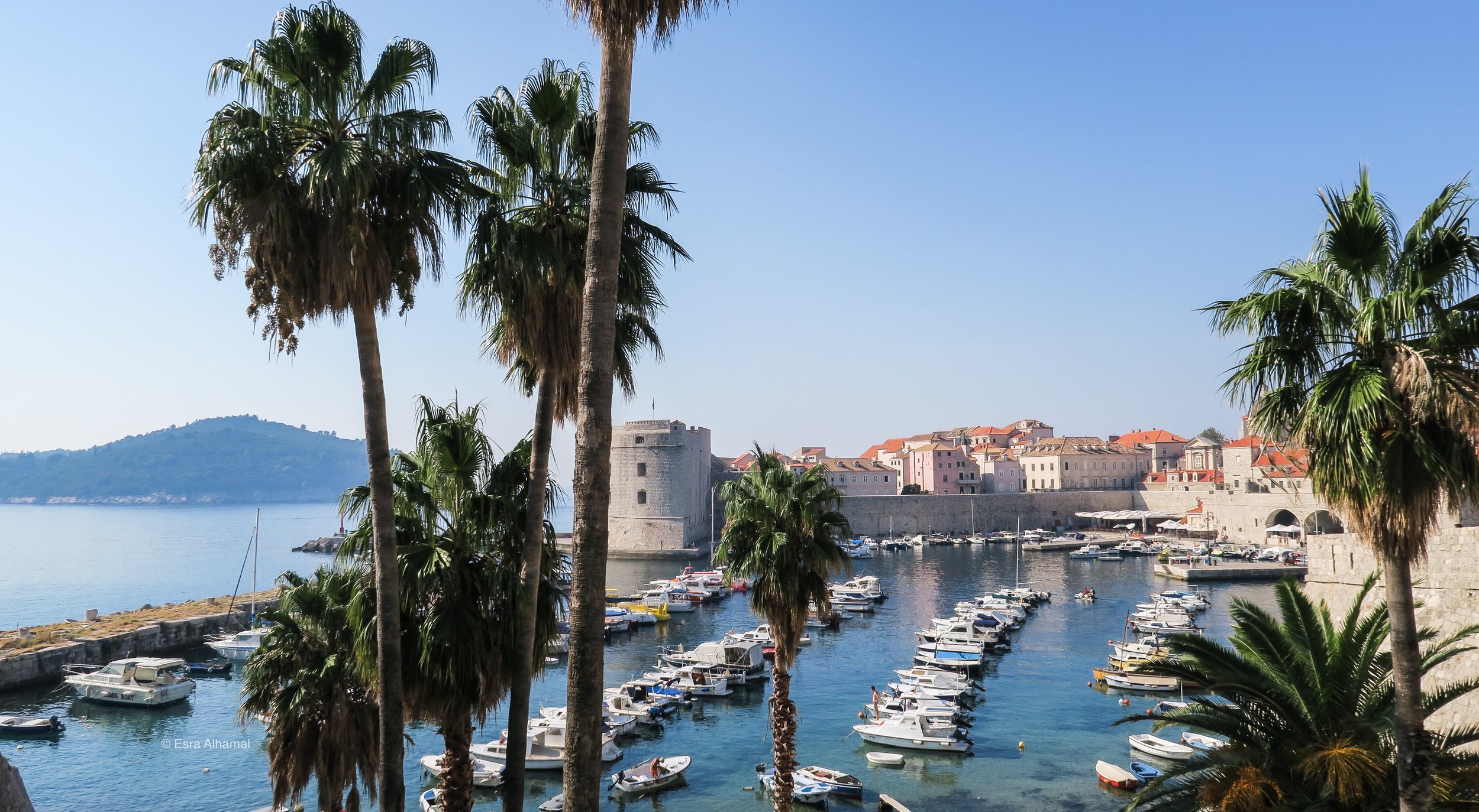 Dubrovnik Port and Palm Trees 